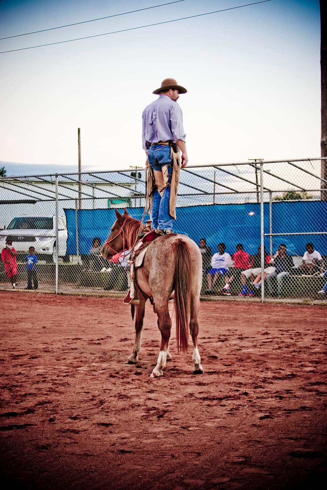 Dog, a wild Mustang adopted by Freedom Ranch
